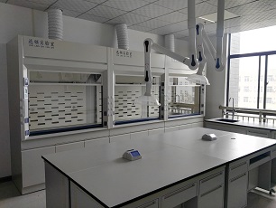 Xi'an Libang 제약 유한 회사의 Xunling 실험실 흄 후드